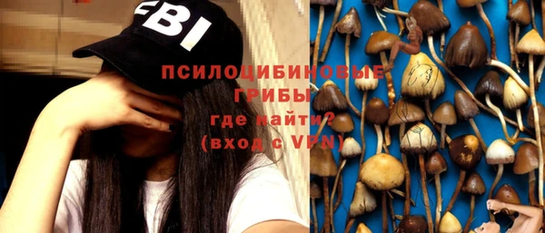 мдма Няндома