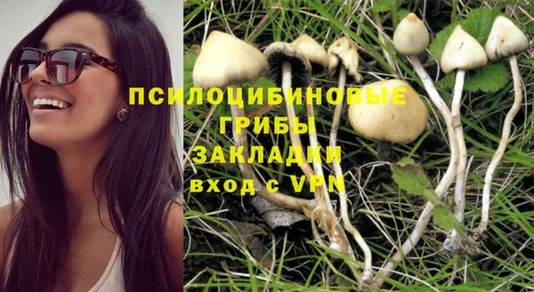 прущие крисы Осинники