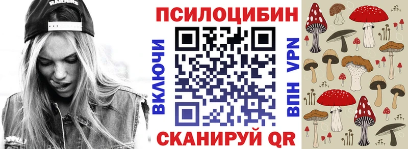 Галлюциногенные грибы Cubensis  Купить закладки  Новосибирск 